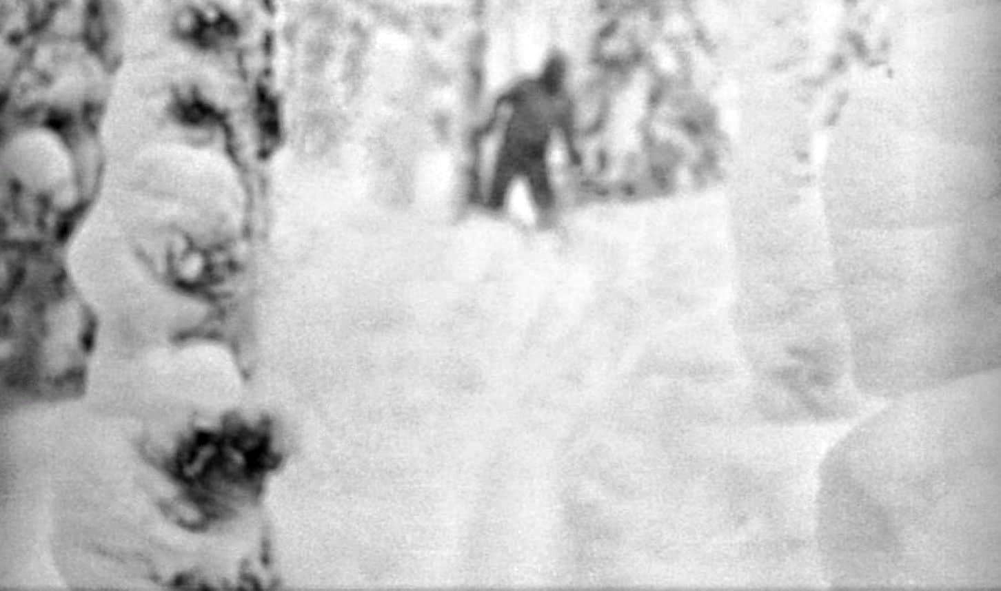 The Figure in the Trees