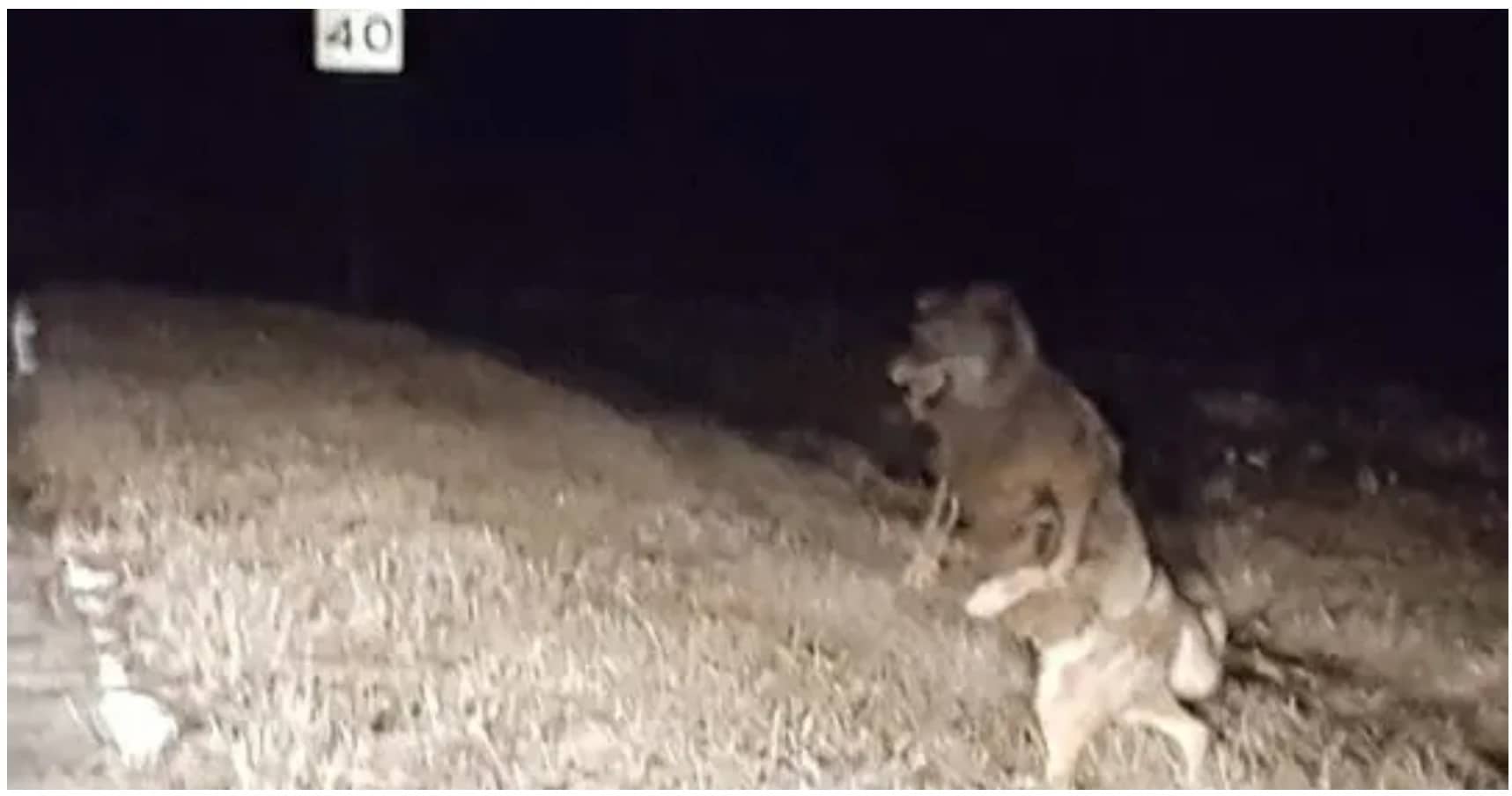 Photographic Evidence