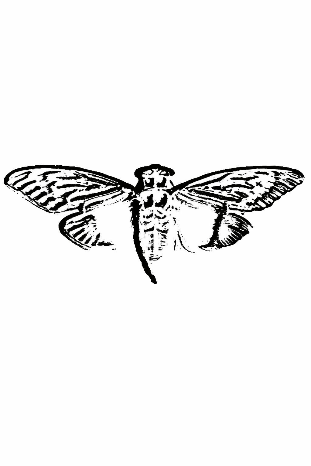 Cicada 3301