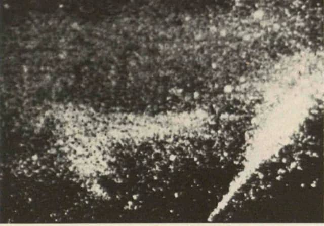 1970s Sonar & MIT “Flipper” Photos