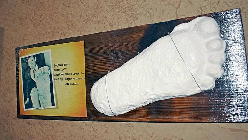 Plaster Footprint Casts