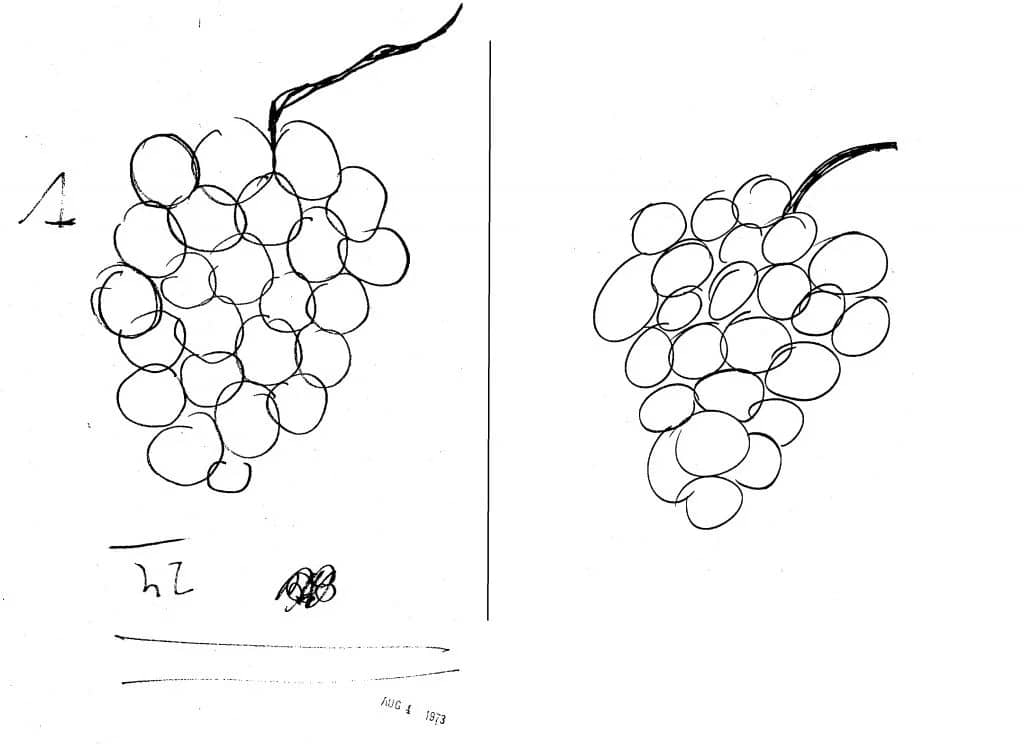 Uri Geller CIA Testing Records