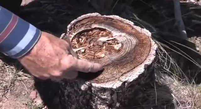 Ground Trace Physical Evidence