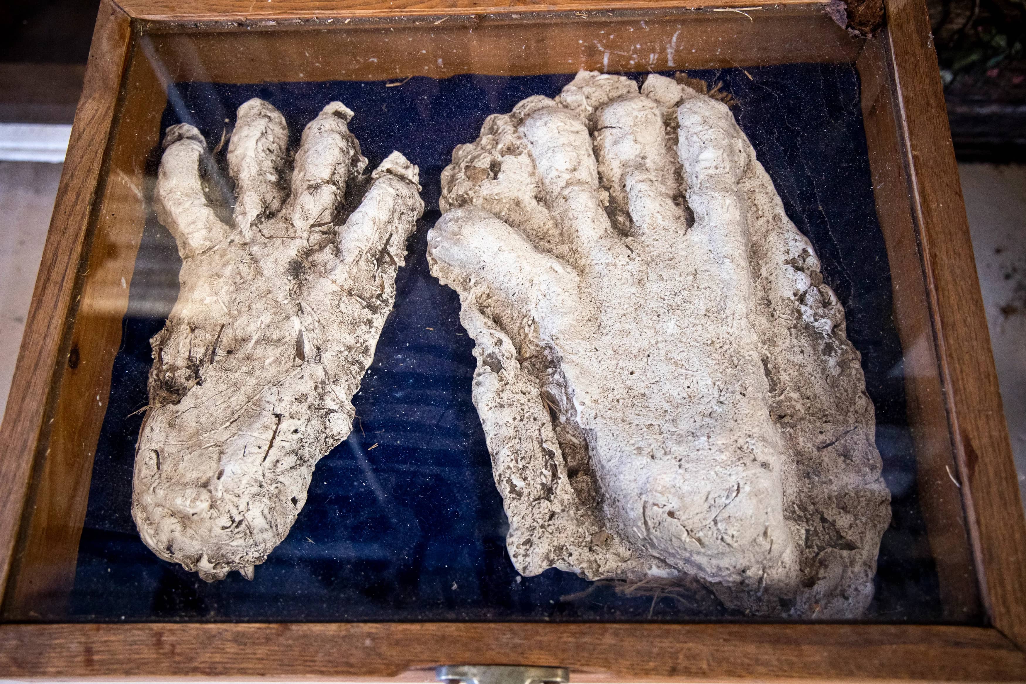 Plaster Casts and Physical Trace Evidence