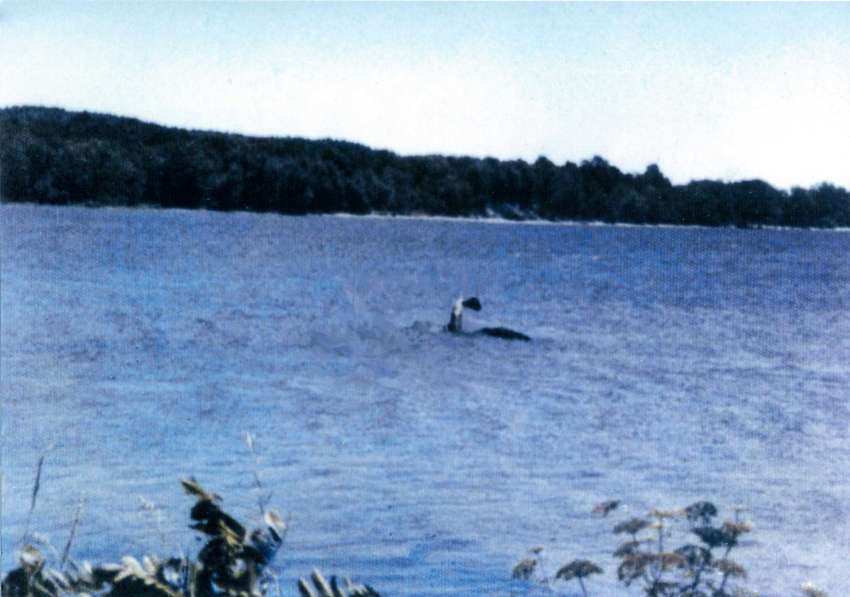 The Sandra Mansi Photograph Analysis