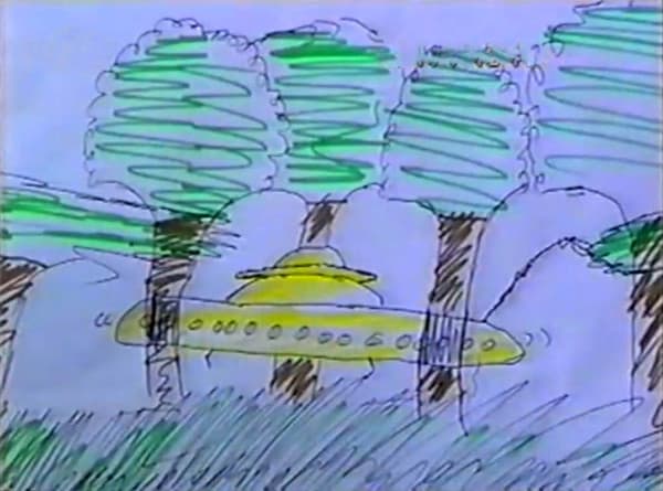 Consistent Witness Drawings