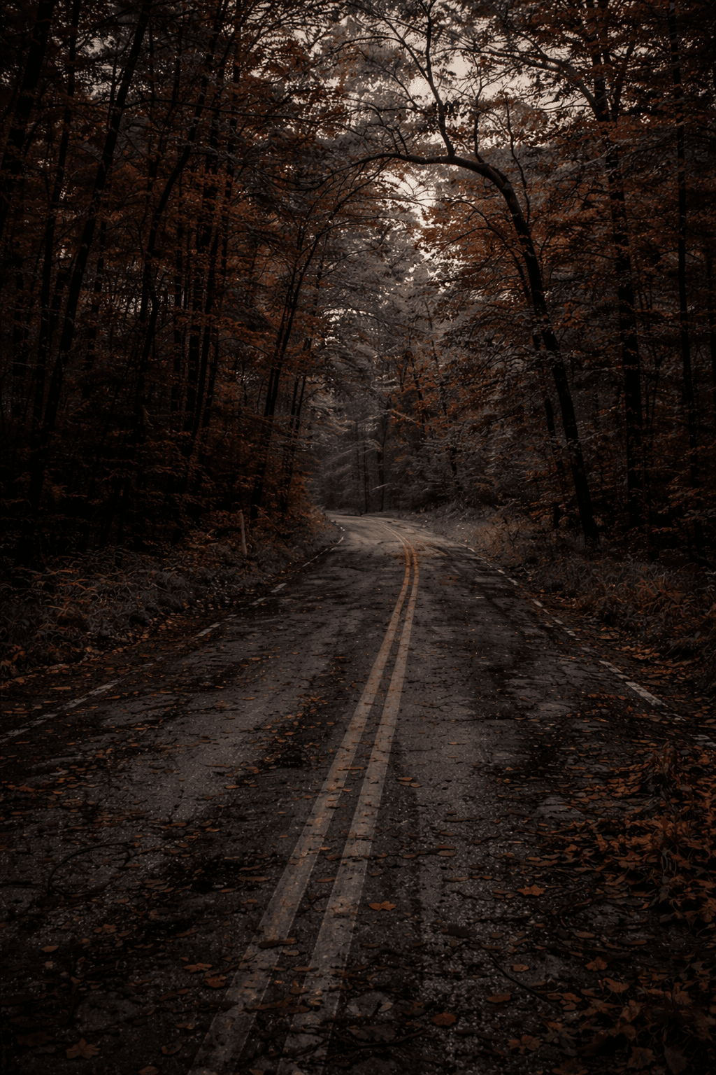 The Clinton Road Phenomenon