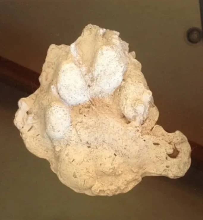 Cast Footprint Impressions