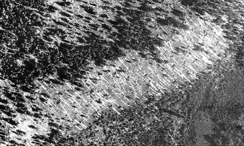 1938 Aerial Photographic Survey